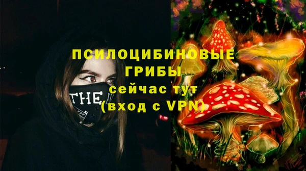apvp Абинск