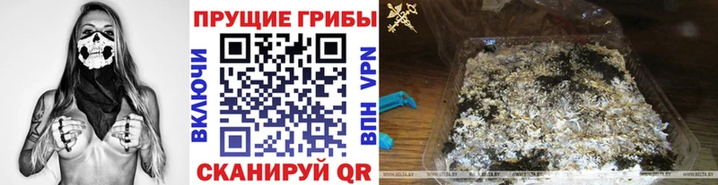 Галлюциногенные грибы GOLDEN TEACHER гидра ССЫЛКА Благовещенск сколько стоит